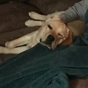 Meet your Posher, Jacob